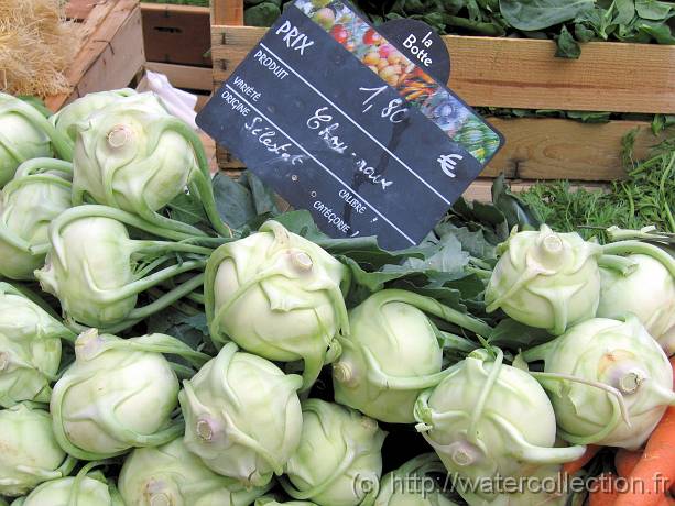 2007-05-12_08-31-02_Mai_55,1mm_1_125_eme_Canon PowerShot A95 